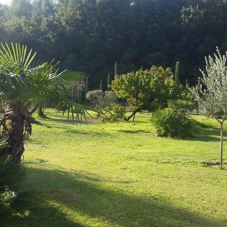 Provence Bed & Breakfast Карпентра Екстериор снимка