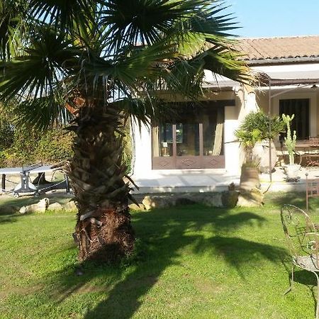 Provence Bed & Breakfast Карпентра Екстериор снимка