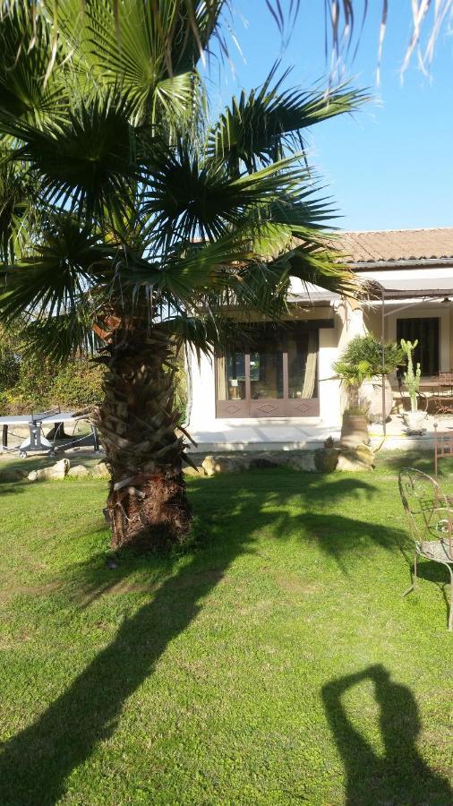 Provence Bed & Breakfast Карпентра Екстериор снимка