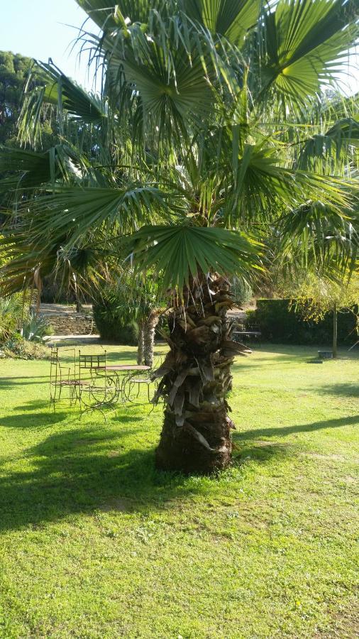 Provence Bed & Breakfast Карпентра Екстериор снимка